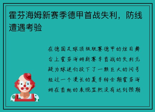 霍芬海姆新赛季德甲首战失利，防线遭遇考验