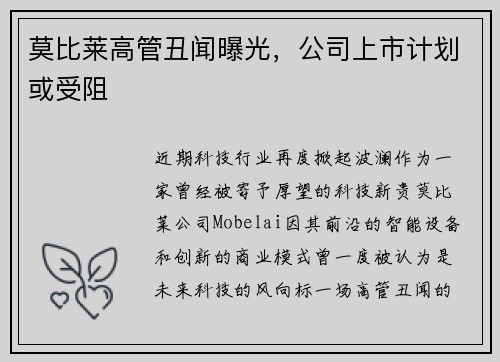 莫比莱高管丑闻曝光，公司上市计划或受阻