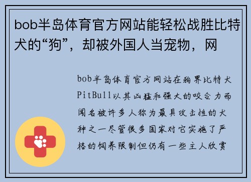 bob半岛体育官方网站能轻松战胜比特犬的“狗”，却被外国人当宠物，网友看得瑟瑟 - 副本
