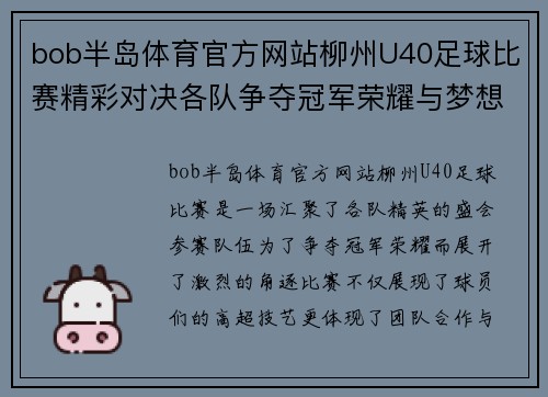 bob半岛体育官方网站柳州U40足球比赛精彩对决各队争夺冠军荣耀与梦想