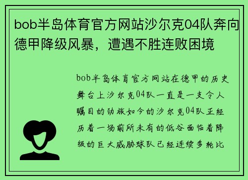 bob半岛体育官方网站沙尔克04队奔向德甲降级风暴，遭遇不胜连败困境