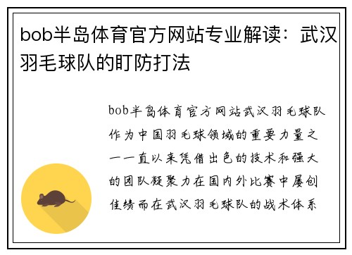 bob半岛体育官方网站专业解读：武汉羽毛球队的盯防打法