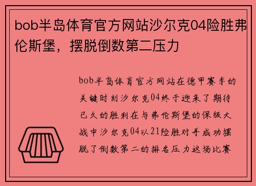 bob半岛体育官方网站沙尔克04险胜弗伦斯堡，摆脱倒数第二压力