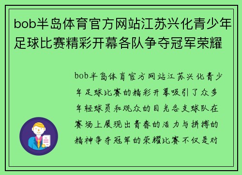 bob半岛体育官方网站江苏兴化青少年足球比赛精彩开幕各队争夺冠军荣耀展现青春风采
